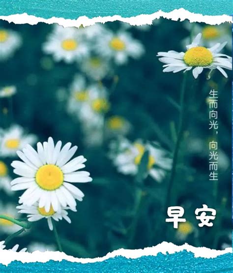 下雨 長輩圖|LINE免費貼圖22組！下雨天早安圖下載 「教師節快樂」祝福圖萬。